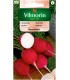 V - RZODKIEWKA RIESENBUTTER 10g /2/