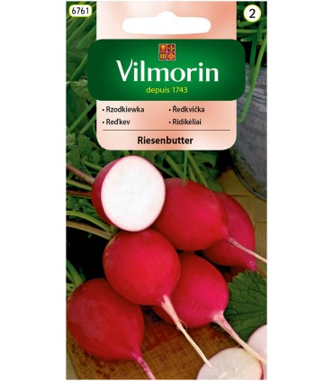 V - RZODKIEWKA RIESENBUTTER 10g /2/