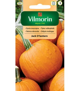 V - DYNIA JACK O'LANTERN 2g (3)