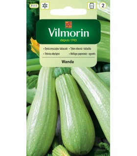 V - DYNIA ZW. KABACZEK WANDA 2g (2)