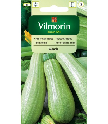 V - DYNIA ZW. KABACZEK WANDA 2g (2)