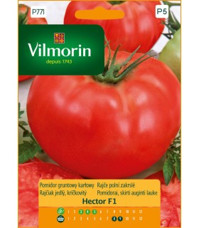 V - POMIDOR HECTOR F1 0,1G (P5)