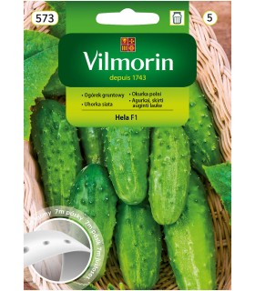 V - TAŚMA OGÓREK HELA F1 7M (5)