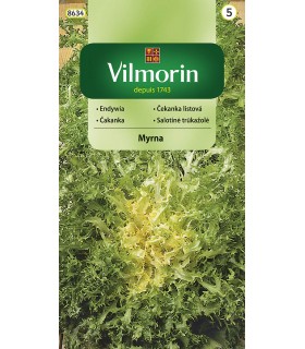 V - ENDYWIA MYRNA 0,5g  (5)