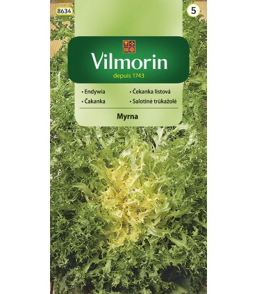 V - ENDYWIA MYRNA 0,5g  (5)