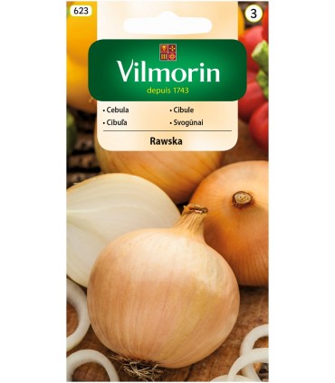V - CEBULA RAWSKA 5g (3)
