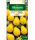 V - POMIDOR KOKTAIL PERUN ŻÓŁTY 0,5g (4)