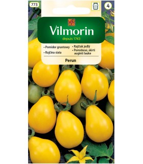 V - POMIDOR KOKTAIL PERUN ŻÓŁTY 0,5g (4)