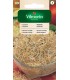 V - NASIONA NA KIEŁKI LUCERNA 20G (3)