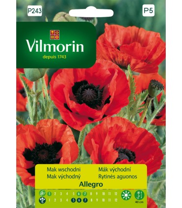 V - TAŚMA TANIEC KWIATÓW RUMBA 3x2m (P5)