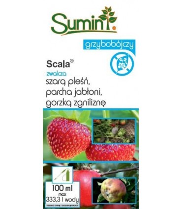 SUMIN G - SCALA 100ml 