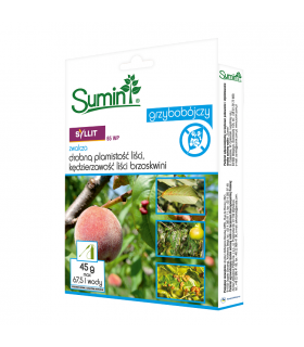 SUMIN G - SYLLIT 65 WP 45g