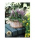 TT - OSŁONA OKRĄGŁA Z BRZOZY 25x25x13h cm