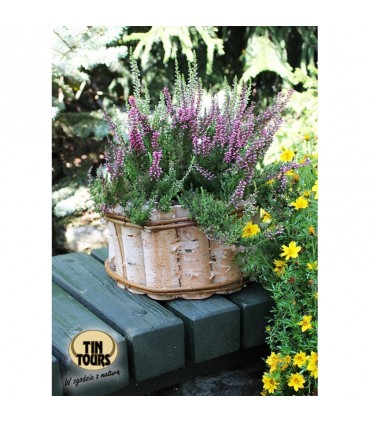 TT - OSŁONA OKRĄGŁA Z BRZOZY 25x25x13h cm