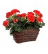 TT - BALKONÓWKA WRZOSÓWKA 30x18x15h cm