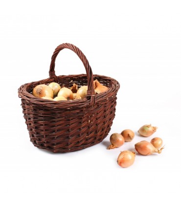 TT KOSZ GRZYBOWY TZ162