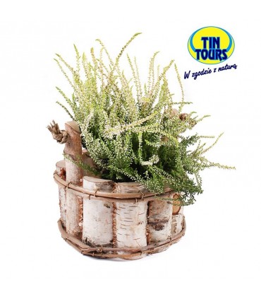 TT - CEBRZYK DUŻY OKRĄGŁY 20cm 