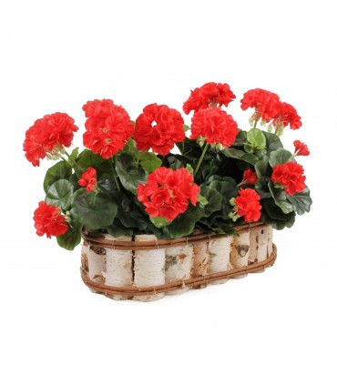 TT - OSŁONA OWALNA BRZOZA 45x26x12h