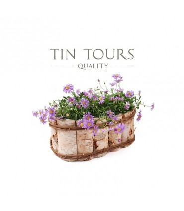 TT OSŁONA OWALNA Z BRZOZY 33x20x13h cm