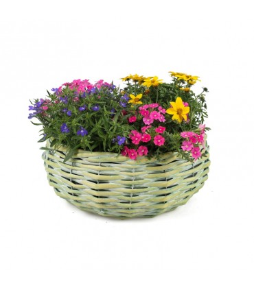 TT - OKRĄGŁY KOSZYK WIKLINOWY ZIELONY 30x30x13h