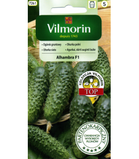 V - OGÓREK ALHAMBRA F1 3g (5)