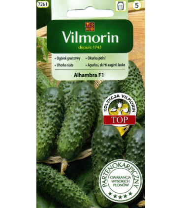 V - OGÓREK ALHAMBRA F1 3g (5)