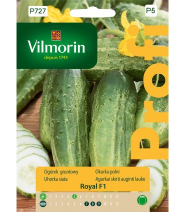 V - TAŚMA OGÓREK ROYAL F1 4M (P6)