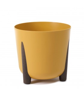 DONICA FRIDA 260 - MUSZTARDOWY