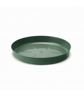 PODSTAWKA NR 1 (FI 112) - awokado