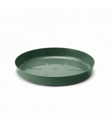 PODSTAWKA NR 5 (FI 197) - AWOKADO