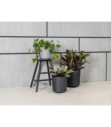 DONICA GAMA 190 textil - b/czarny + t/k31