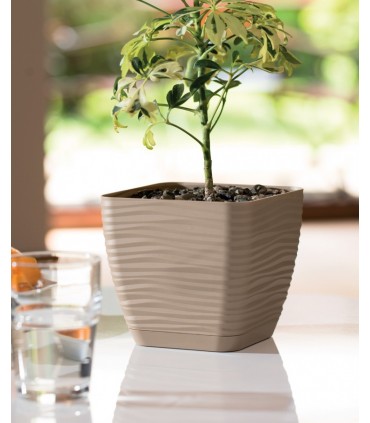 FP DONICA SAHARA KWAD.PETIT Z PODST. 15 ANTRACYT