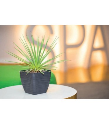 FP DONICA SAHARA KWAD.PETIT Z PODST. 17 ANTRACYT