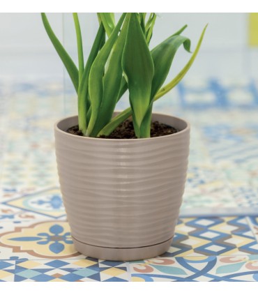 FP DONICA SAHARA PETIT Z PODST. 11  BIAŁY