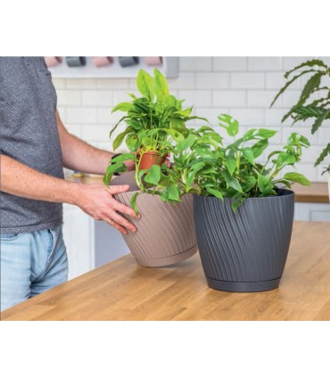 FP DONICZKA MIKA Z PODSTAWKĄ 17 PLATYNA