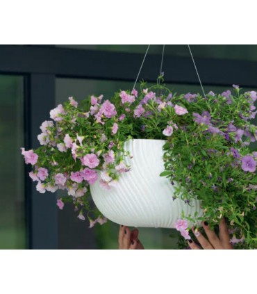 FP - KULA MIKA WISZĄCA 32 PLATYNA