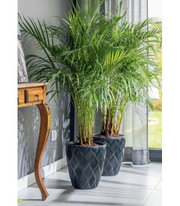 FP OSŁONKA FLOW 40 antracyt