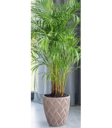 FP OSŁONKA FLOW 40 biały