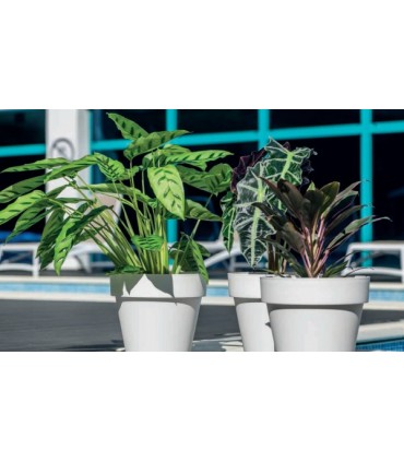 FP OSŁONKA IBIZA SOFT MAT 16 BIAŁA