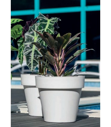 FP OSŁONKA IBIZA SOFT MAT 18 BIAŁA