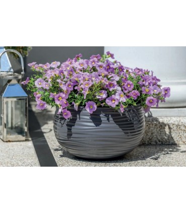 FP - OSŁONKA SAHARA DUNES KULA 32 ANTRACYT