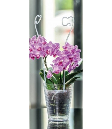 FP - OSŁONKA STORCZYK DIAMENT PETIT BEZBARWNA