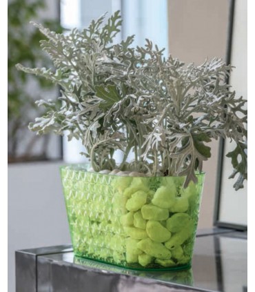 FP - SKRZYNKA DIAMENT PETIT 23 TRANSP. RÓŻ