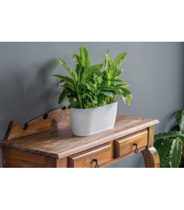 FP - SKRZYNKA MIKA Z PODST. 27 BIAŁY