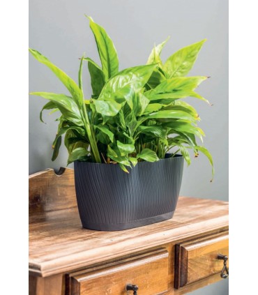 FP - SKRZYNKA MIKA Z PODST. 27 BIAŁY