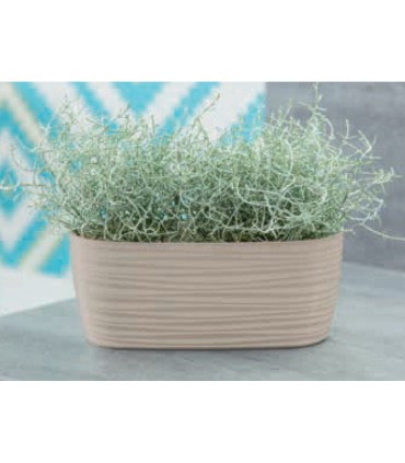 FP SKRZYNKA SAHARA PETIT Z PODST. 27 ANTRACYT