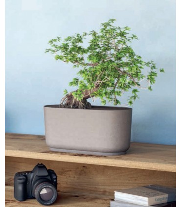 FP - SKRZYNKA SATINA ECO 27 NAT. DREWNO