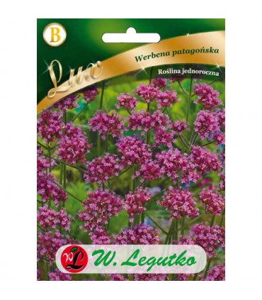 L - LUX WERBENA PATAGOŃSKA LILIOWA 0,3g /3/