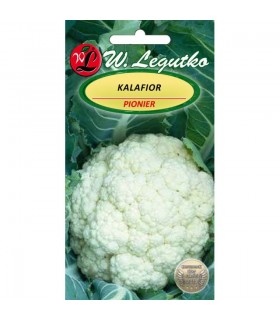 LW - KALAFIOR PIONIER 1g /3/