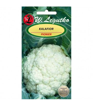 LW - KALAFIOR PIONIER 1g /3/